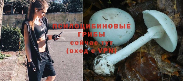 твердый Няндома
