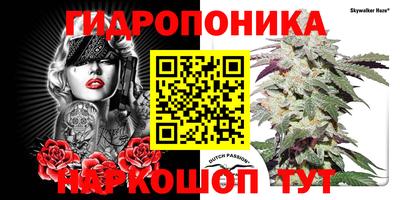 ПСИЛОЦИБИНОВЫЕ ГРИБЫ Баксан