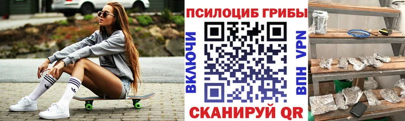 Псилоцибиновые грибы Psilocybine cubensis  Североморск 