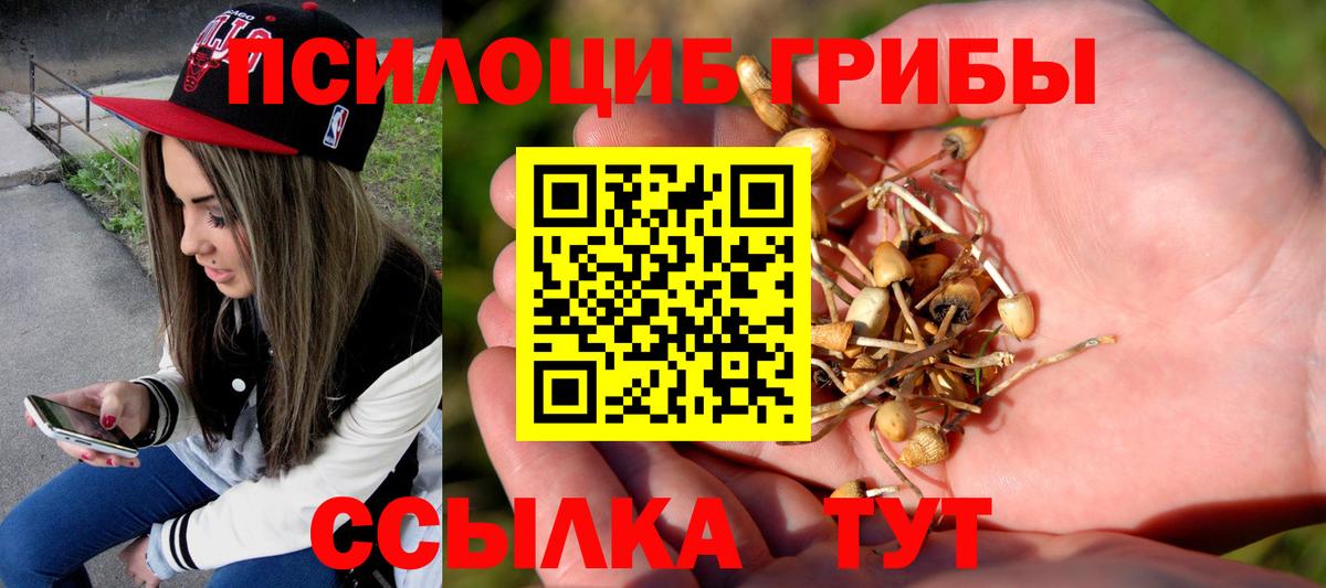 Галлюциногенные грибы MAGIC MUSHROOMS Североморск