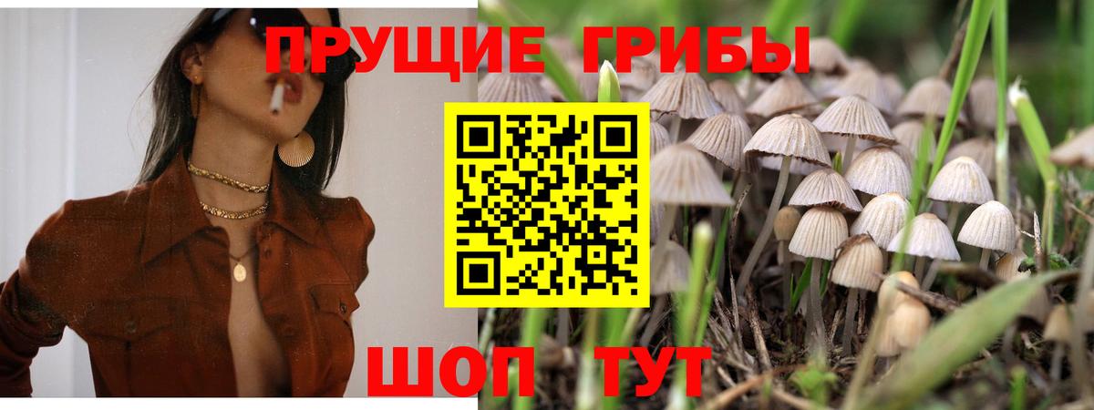 Галлюциногенные грибы Magic Shrooms  Вход с VPN  Псилоцибиновые грибы MAGIC MUSHROOMS  Североморск 